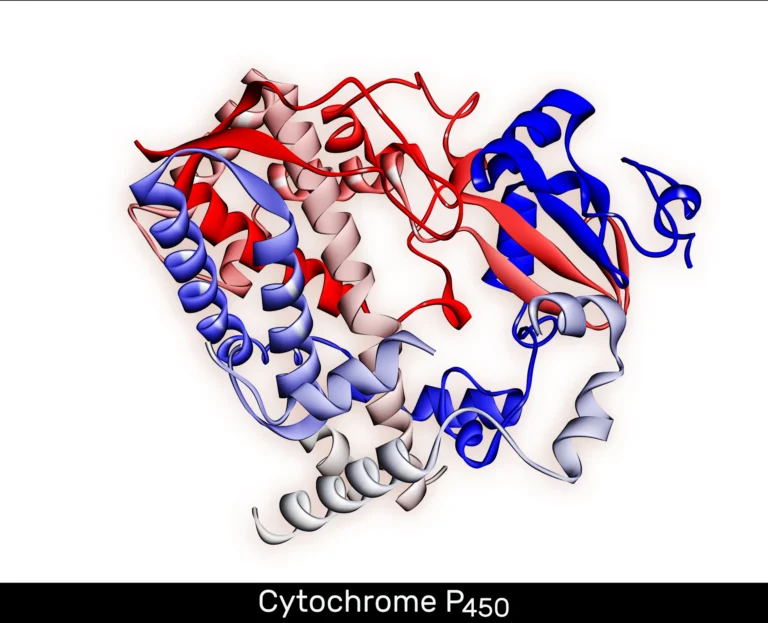 Cytochrome P450