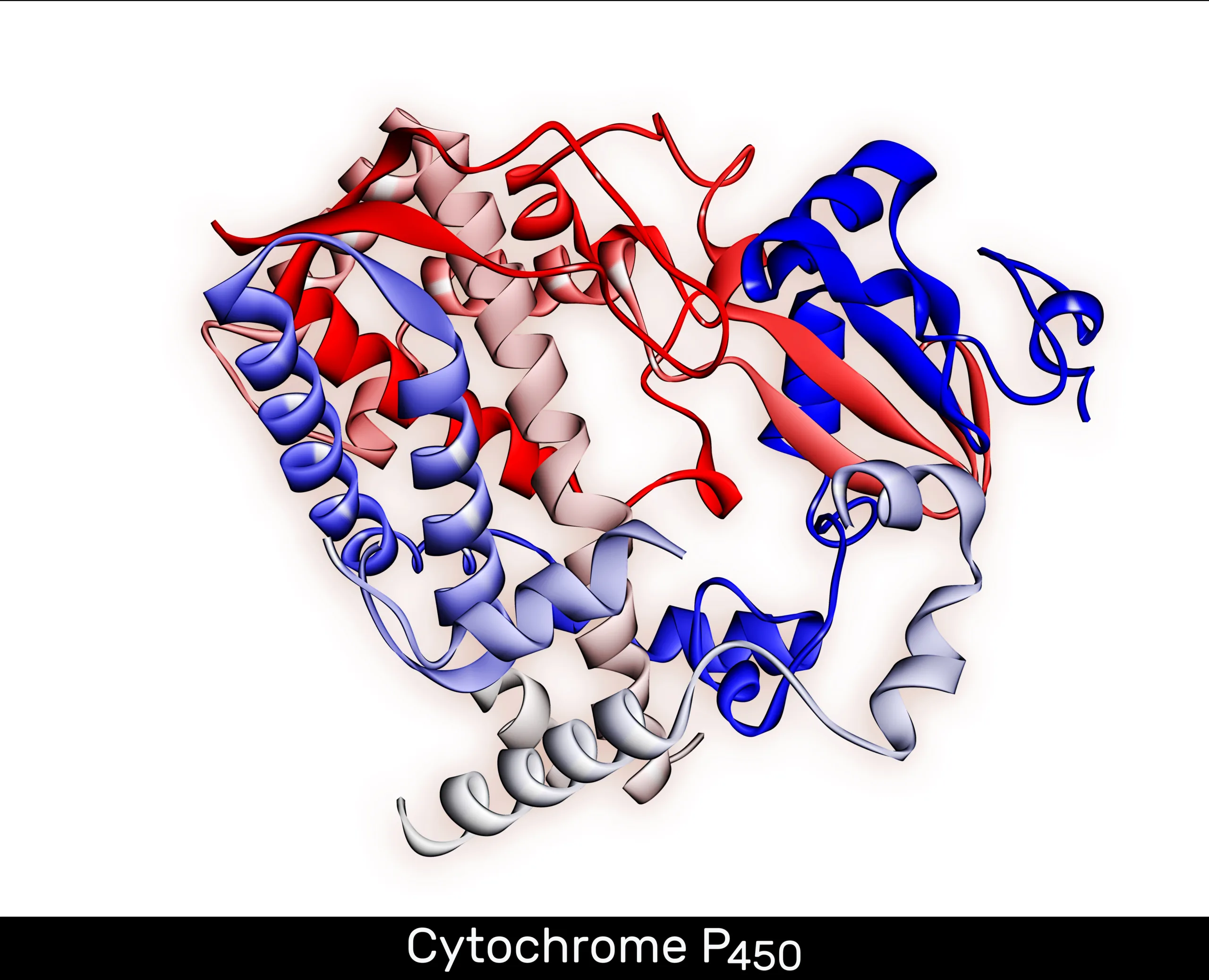 Cytochrome P450