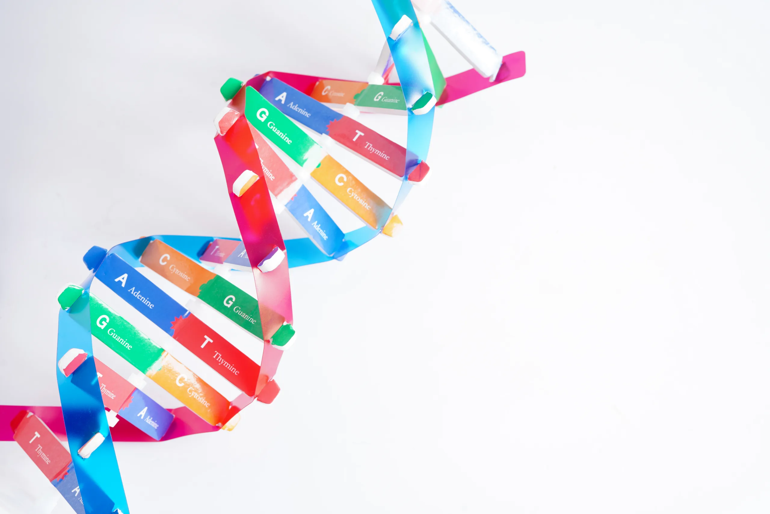 CYP2C19 rapid metabolizer